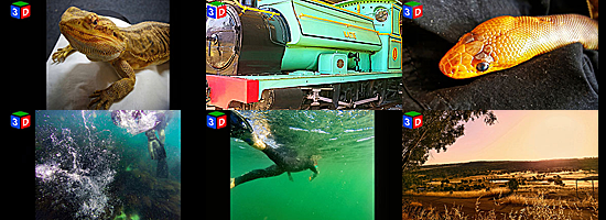 gallery_group1