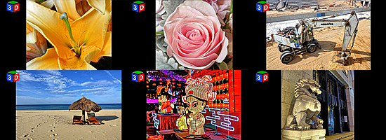 gallery_group1