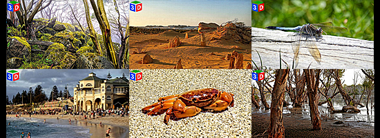 gallery_group1