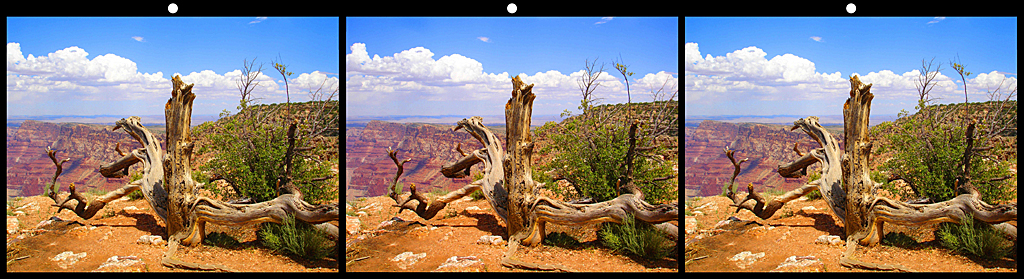 009_S_2026